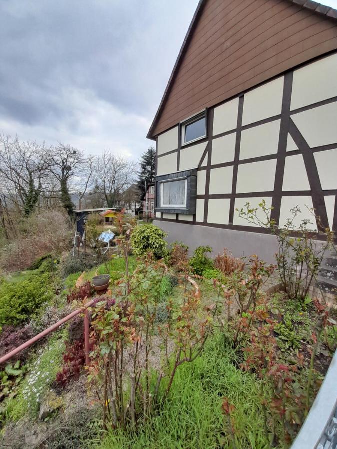 Why Not Strandblick Polle Exterior photo
